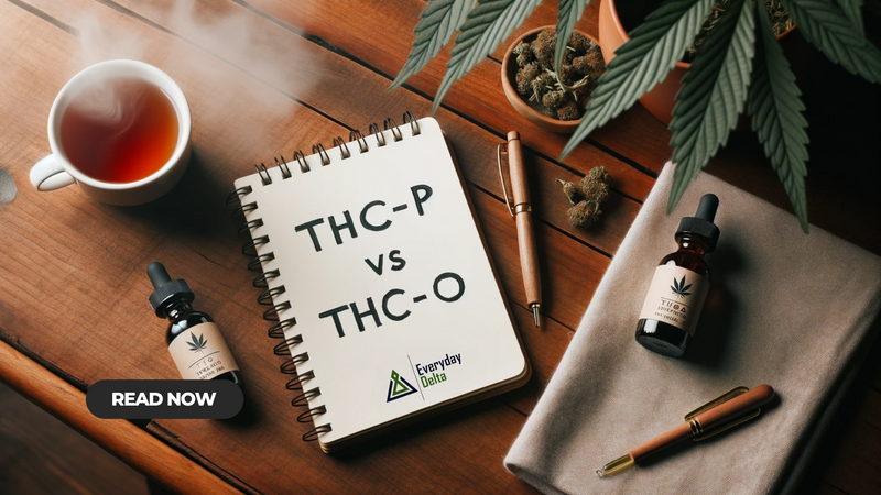 THC-P vs THC-O