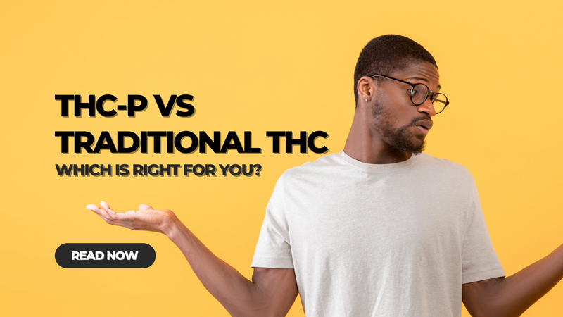 THCP vs THC: Unveiling the Potency, Effects, and Legality