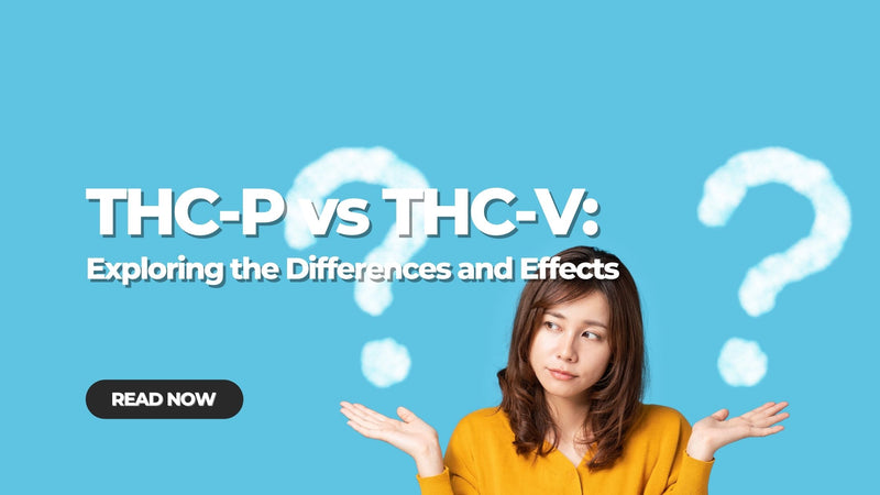 THC-P vs THC-V: Exploring the Differences and Effects