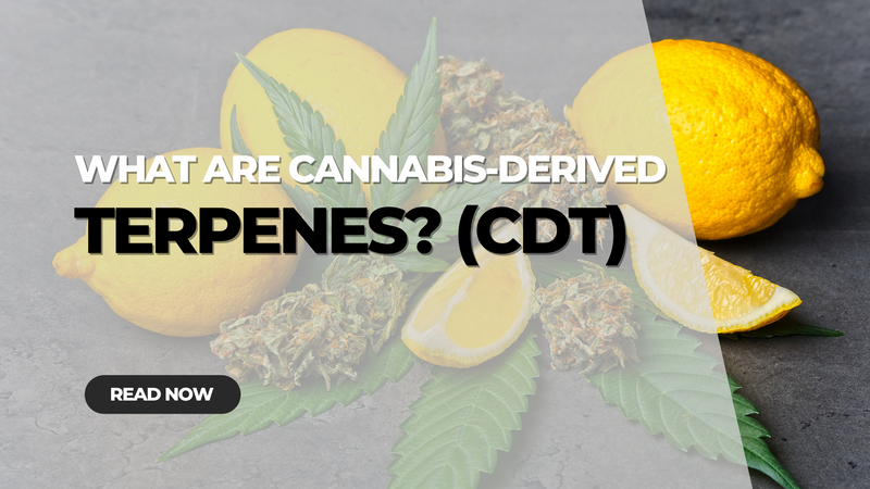 What are Cannabis Derived Terpenes?