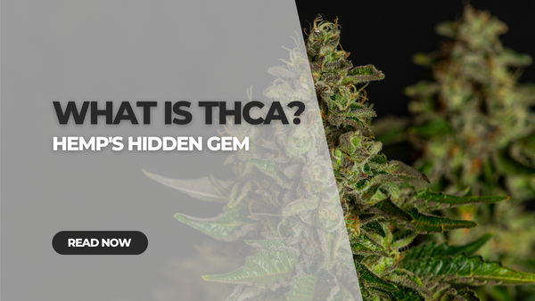 What is THCA: Hemp's Hidden Gem