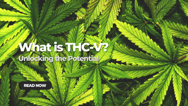 What is THCV: Unlocking the Potential