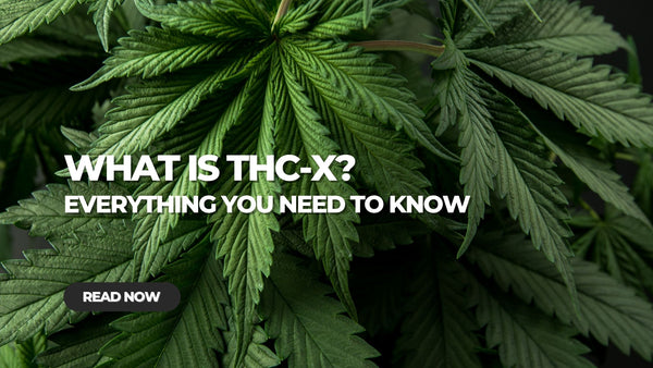 What is THC-X? Everything You Need to Know