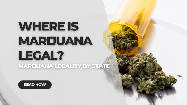 What states allow marijuana