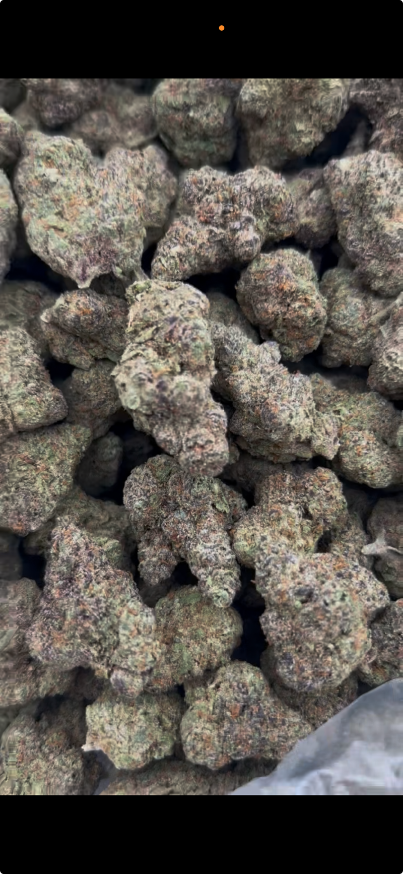 1781 Reserved Flower 7gram PREMIUM INDOOR
THC-A FLOWER